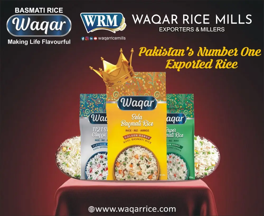 Basmati rice exporter to USA and Canada, biggest basmati rice exporter in punjab Pakistan as per research 2025