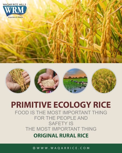 Leading rice exporter from Pakistan